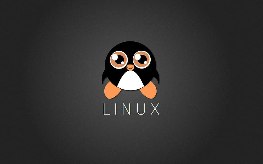 Linux, Tux, Penguin, Logo, Barcode . Cool HD wallpaper