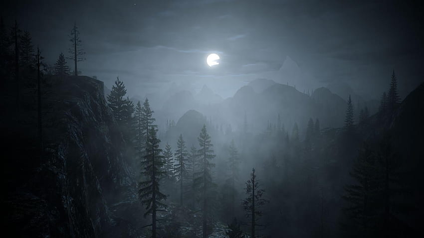 Dark Forest With Moon , Dark Forest Computer HD wallpaper