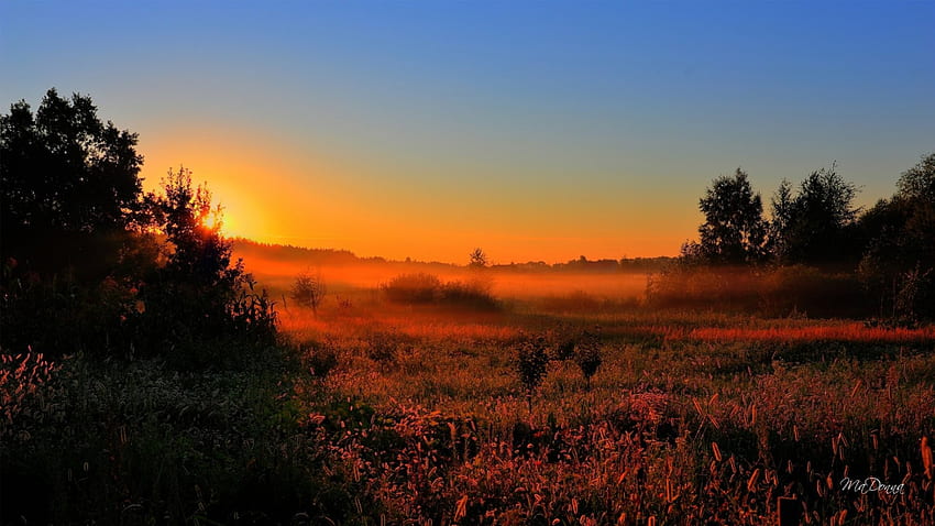 Domenica mattina presto, autunno, fattoria, campagna, alba, foschia, nebbia, campo, autunno, cielo, pascolo, sole Sfondo HD