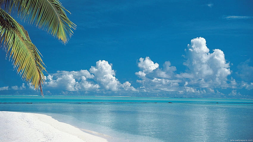 섬 jpg 열대 해변 마다가스카르 jpg 열대 해변 [] for your , Mobile & Tablet. 풍경 해변 열대를 탐험하십시오. 열렬한 HD 월페이퍼