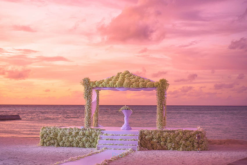 Asad, Atoll, Playa, Decoración, Decoraciones, Destino - Sunset Maldives Wedding - & Antecedentes fondo de pantalla