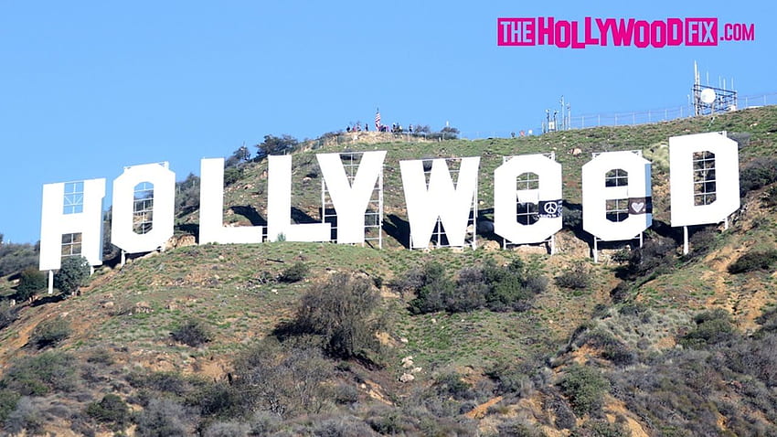Letrero de Hollywood destrozado para leer Hollyweed el día de Año Nuevo 1.1.17 fondo de pantalla