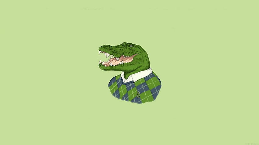 Crocodile Minimalism Cartoon HD wallpaper