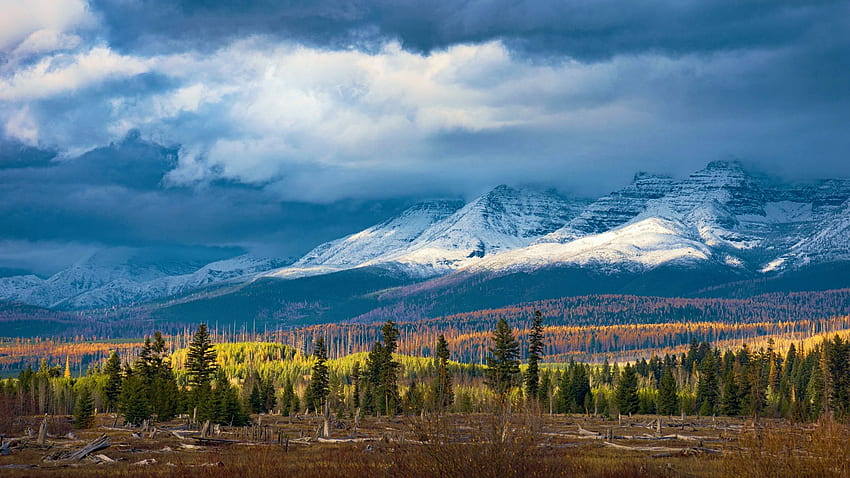 Fall giving way to Winter in the Rocky Mountains of Montana, clouds, trees, landscape, sky, usa HD wallpaper