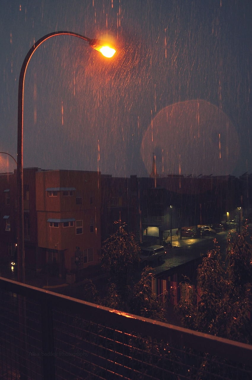 雨の日。 新鮮。 雨、雨、雨、夜の雨 HD電話の壁紙