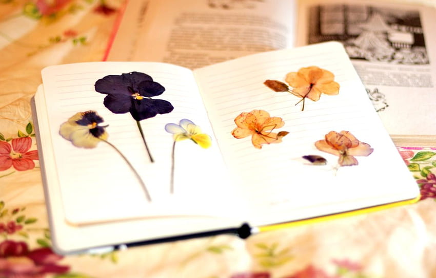 Notebook Notepad Flowers Herbarium HD wallpaper