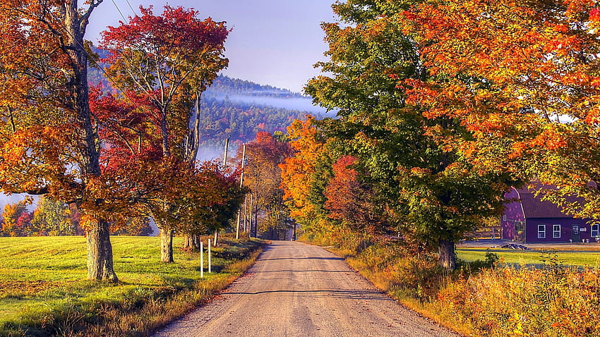 Country road in the fall, autumn, trees, street, houses HD wallpaper