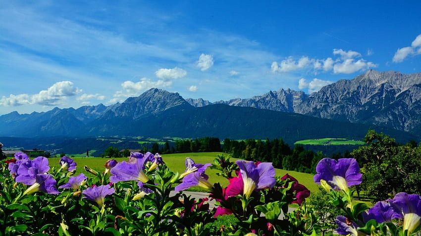 オーストリアアルプス、花、風景、雲、花、空 高画質の壁紙