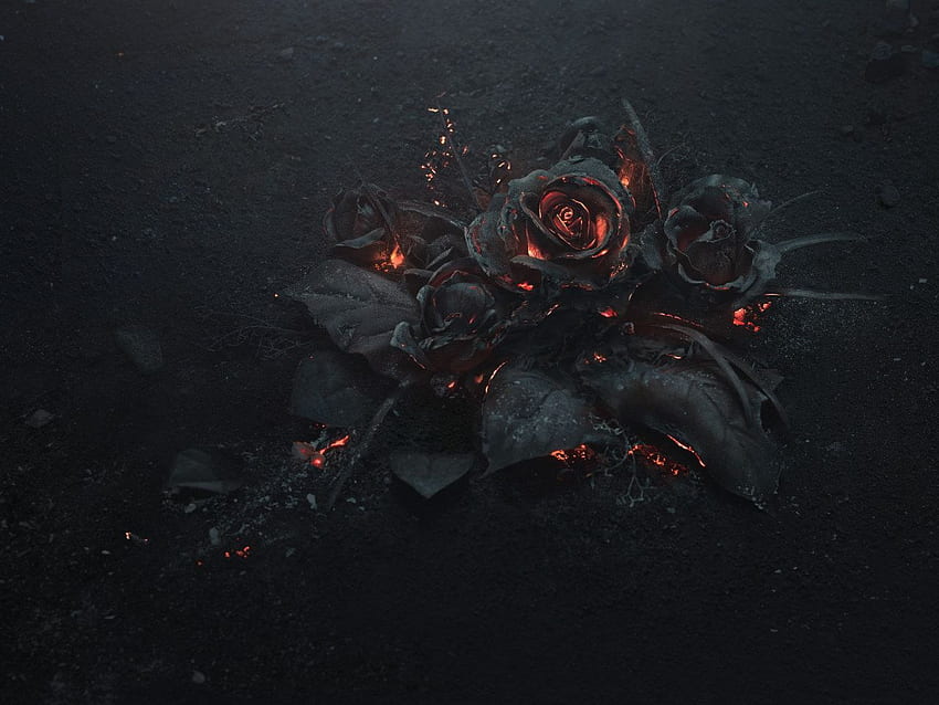 illustration de rose noire, cendre, brûlant, abstrait, sombre, fleurs • For You For & Mobile, Black Rose Aesthetic PC Fond d'écran HD