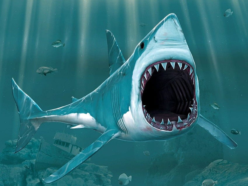 Scary Shark 17285 in Animals HD wallpaper