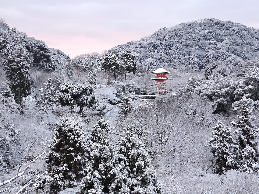 Kyoto'da Kış Harikalar Diyarı'nı yaşayın. KYOTO Inn & Tour, Kyoto Kar HD duvar kağıdı