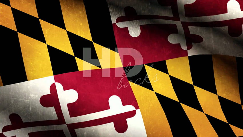 Maryland Flag 52DazheW Gallery [] for your , Mobile & Tablet. Explore Maryland State . Maryland State , Maryland , Maryland Terrapins HD wallpaper