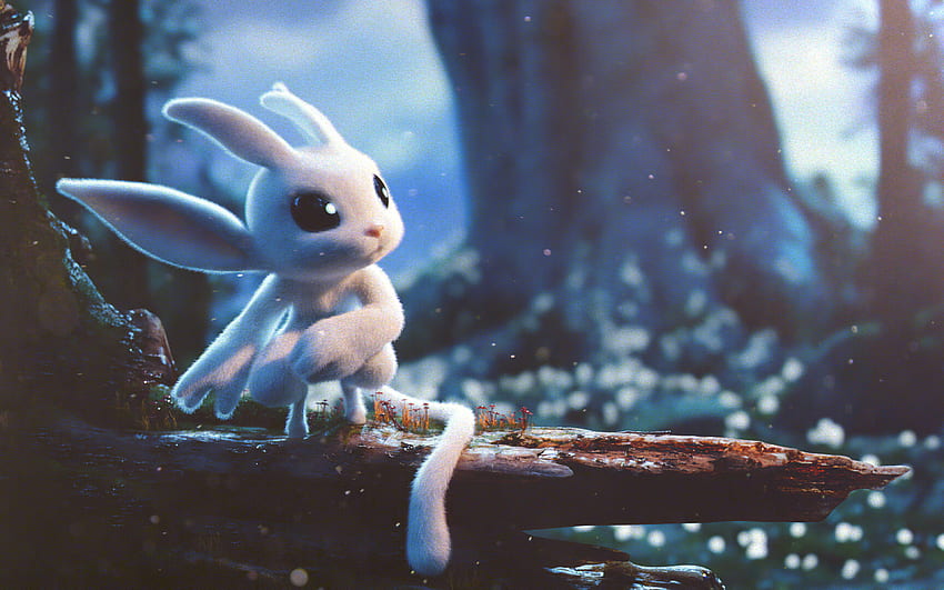 Ori And The Blind Forest , , Background, and, Cute Cartoon Forest HD wallpaper