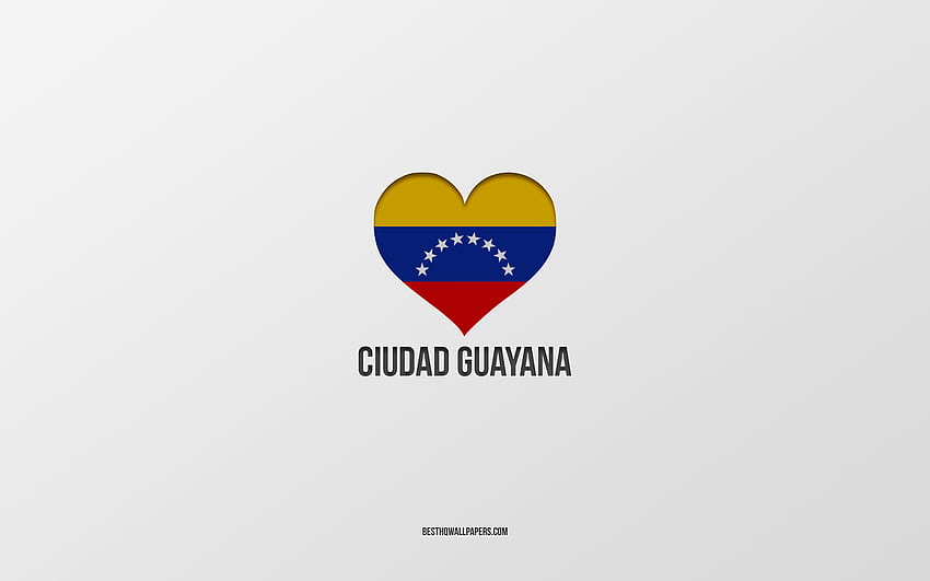 I Love Ciudad Guayana, Colombian cities, Day of Ciudad Guayana, gray background, Ciudad Guayana, Colombia, Colombian flag heart, favorite cities, Love Ciudad Guayana HD wallpaper