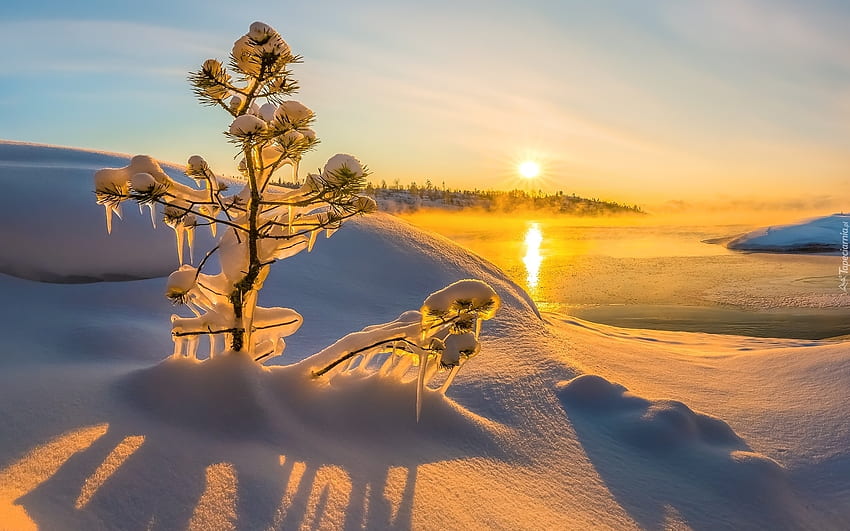 Sol de inverno, sol, inverno, neve, paisagem, lago, árvore papel de parede HD