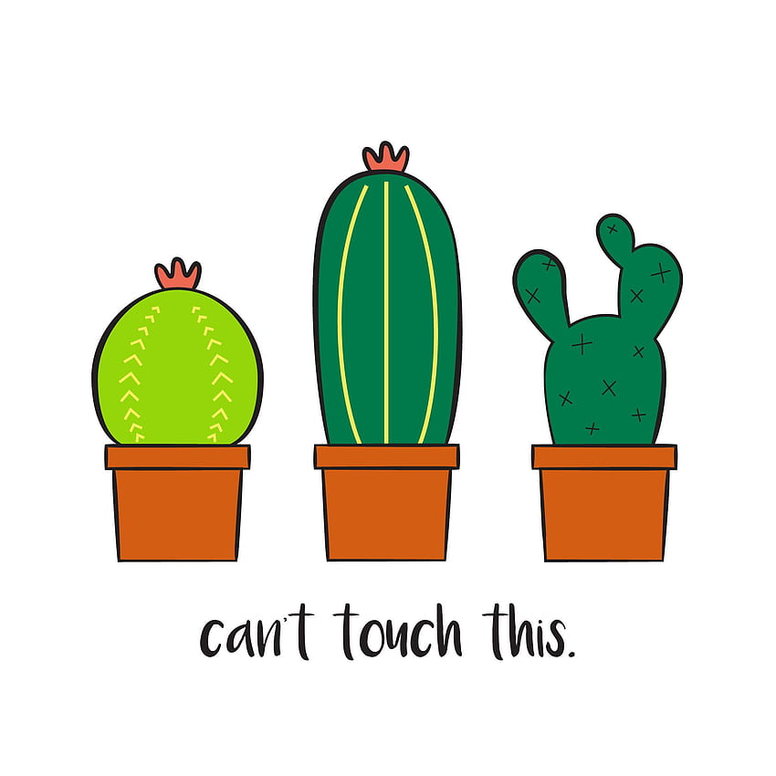 Kaktus, kühler Kaktus HD-Handy-Hintergrundbild