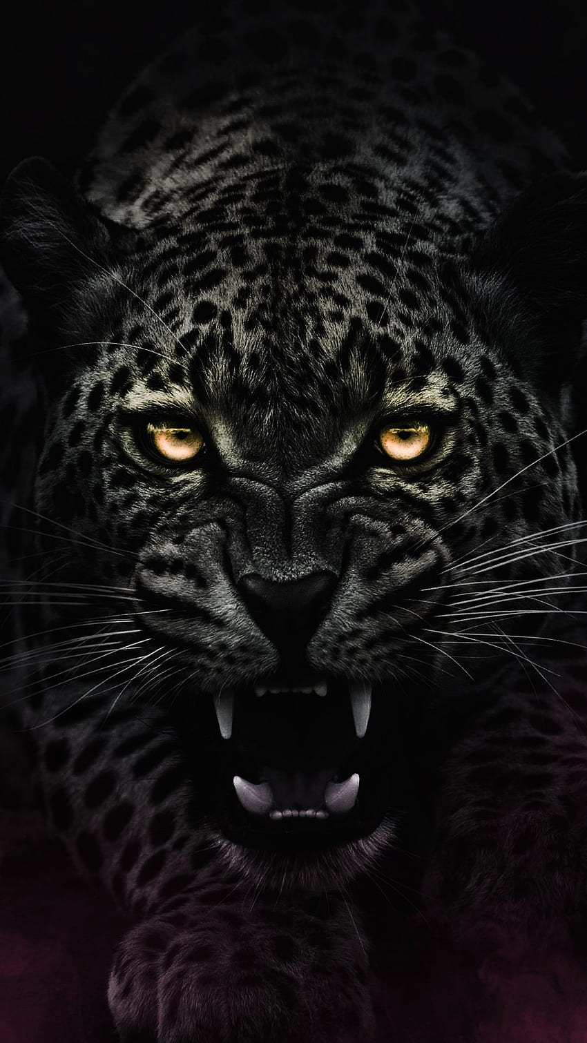 화난 눈, 표범, 어둠, 야생 동물 HD 전화 배경 화면