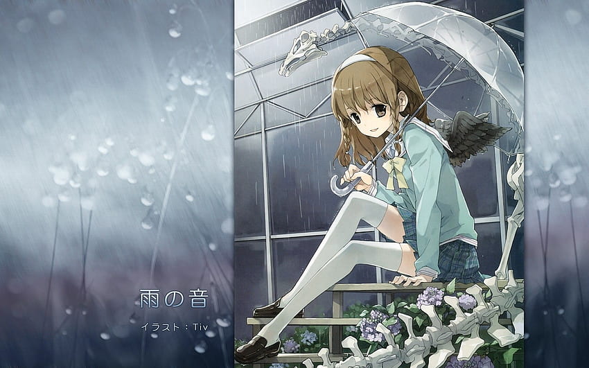 Anime Anime Girls Umbrella Rain Brunette Braids Thigh Highs Flowers Wings Brown Eyes Ribbon Bones Or - Resolution: HD wallpaper