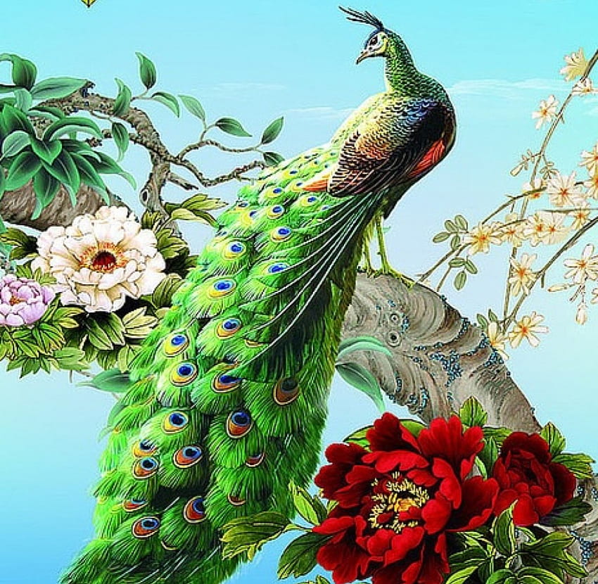 Peacock, art, red, beautiful, flowers, beauty HD wallpaper