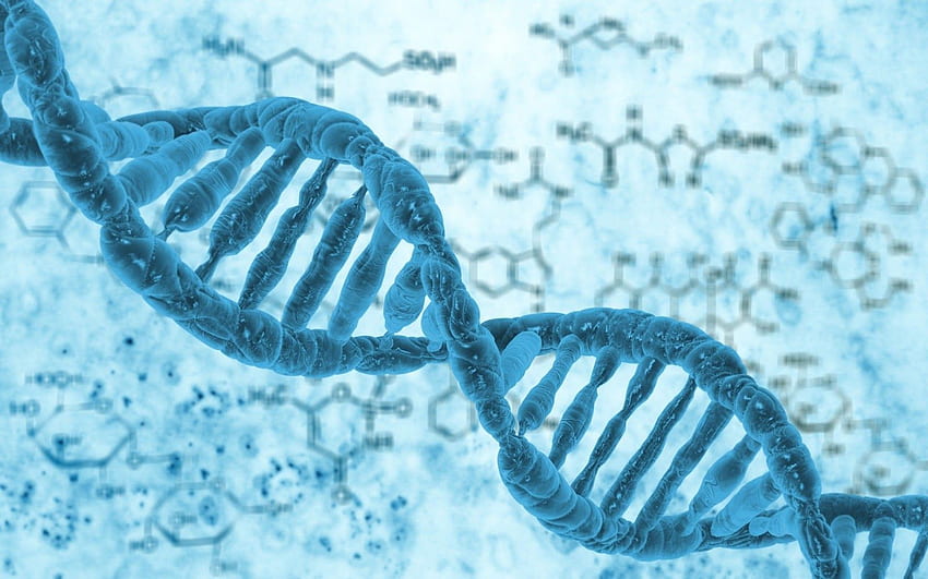 BUZ: Human DNA Biology HD wallpaper