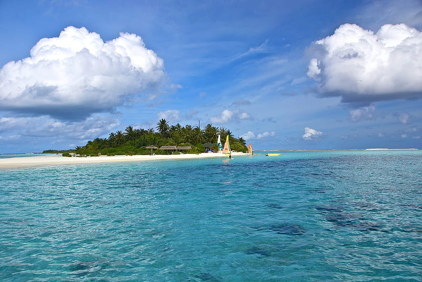 Natura, morze, plaża, piasek, palmy, tropiki, wyspa, Malediwy Tapeta HD
