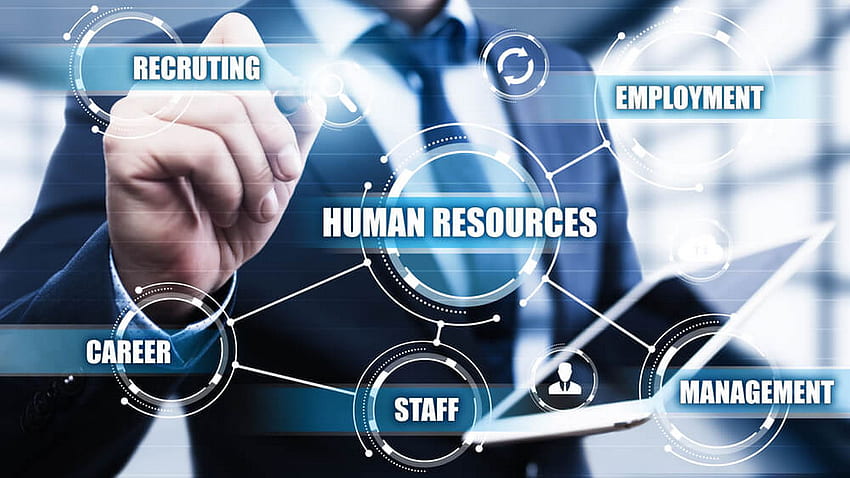 To Provide - Finance Regulations, on Jakpost, Human Resources HD wallpaper