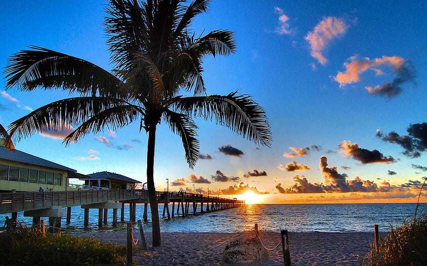 加勒比海经过港口罗德岱岛介绍- 加勒比海/欧洲邮轮推荐- 红叶假期, Fort Lauderdale HD wallpaper