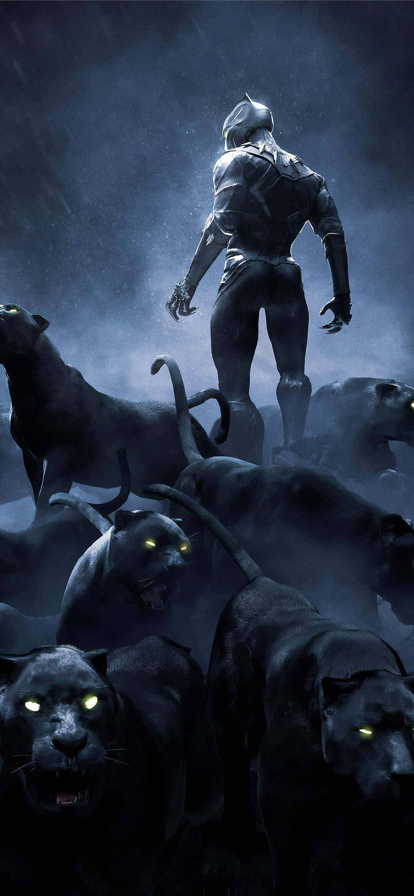 Black Panther ลุกขึ้นในความละเอียด iPhone สัตว์เสือดำ วอลล์เปเปอร์โทรศัพท์ HD