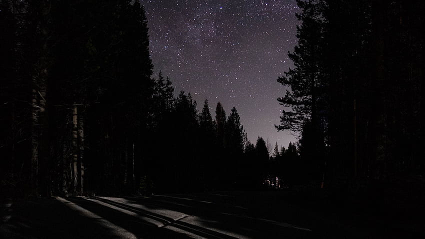 noite, escuro, estrada, céu estrelado, árvores, fundo, 193f16, Dark Forest Road Large papel de parede HD