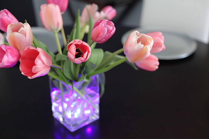 Tulpen und hübsche Lichter ~~, Sonnenschein, Unterhaltung, Tulpen, Arrangement, Lila, Mode, Herzstück, Hübsch, Violett, Lichter, Lavendel, Schwarzer Tisch, Zartrosa, für immer HD-Hintergrundbild