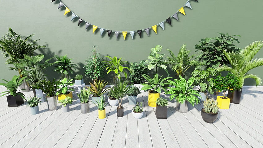 Mimari Görselleştirmede Tropikal Ev Bitkileri HD duvar kağıdı