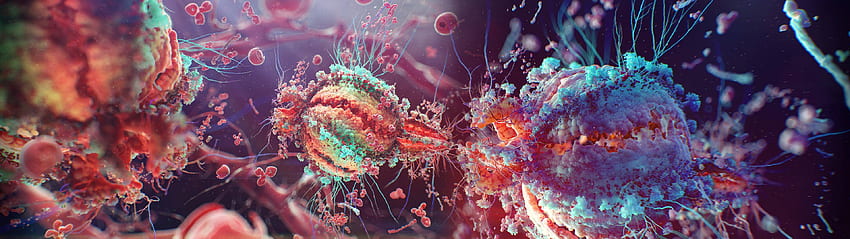 Bakteri Wallpaper HD