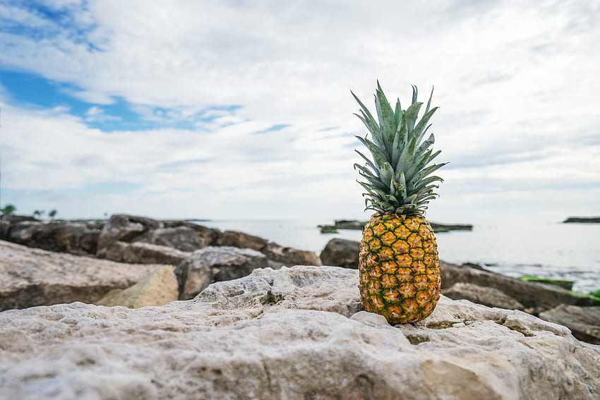 Food, Stones, Beach, Pineapple HD wallpaper