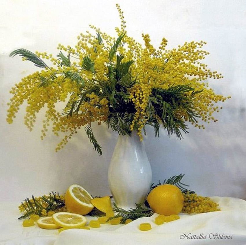 นัททาเลีย ชโลมา. Лимонно-мимозный натюрморт, ชีวิตยังคง, วาด, ศิลปะ, เลมอน, สีเหลือง, ดอกไม้, ผลไม้, nattallia shloma วอลล์เปเปอร์ HD