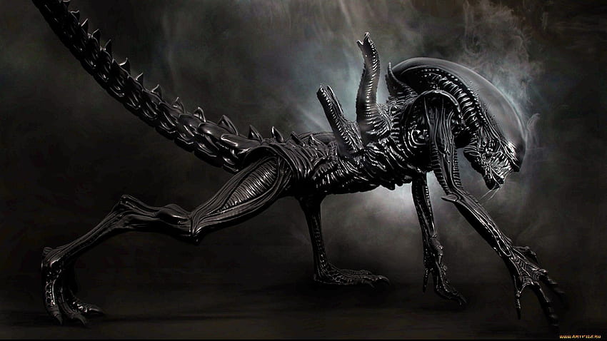 In the movie aliens vs predator they are robot with animal genes, Alien Covenant HD wallpaper