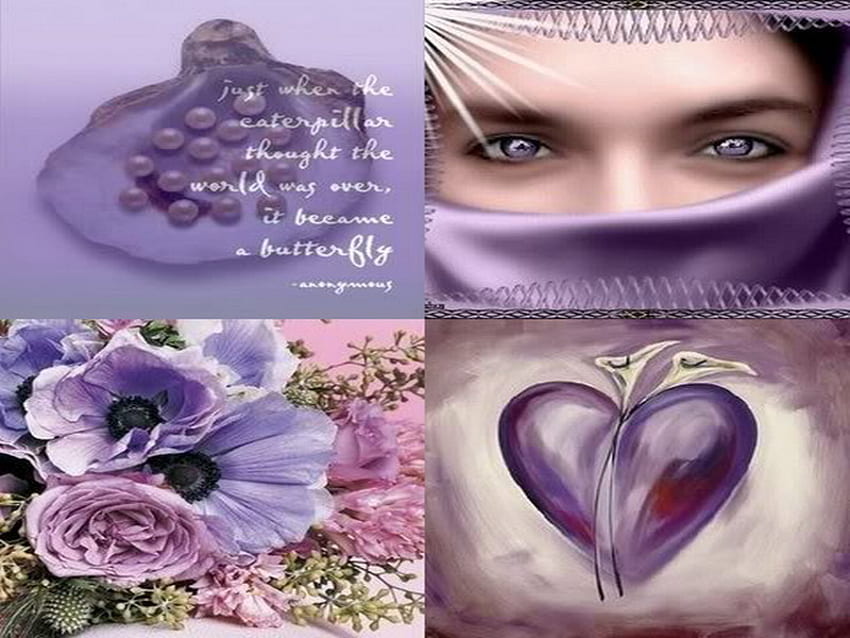 collage, anemone, purple, shell, heart HD wallpaper