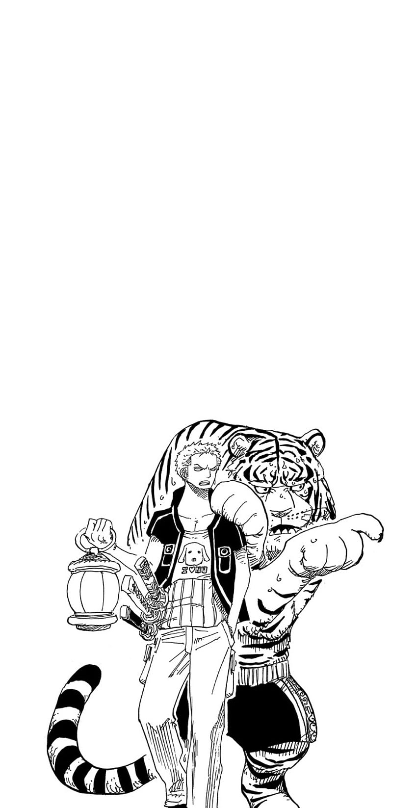 Zoro, Anime, Roronoa, One Piece, Manga, Tiger HD phone wallpaper