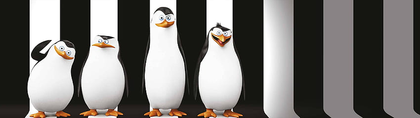 Pinguins de Madagascar monitor duplo, monitor duplo animal papel de parede HD