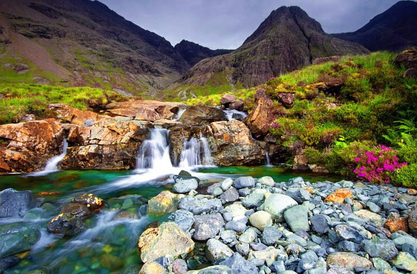 Ruisseau de montagne, ruisseau, collines, paysage, beau, herbe, rochers, pierres, montagne, été, cascades, nature, fleurs, ruisseau Fond d'écran HD