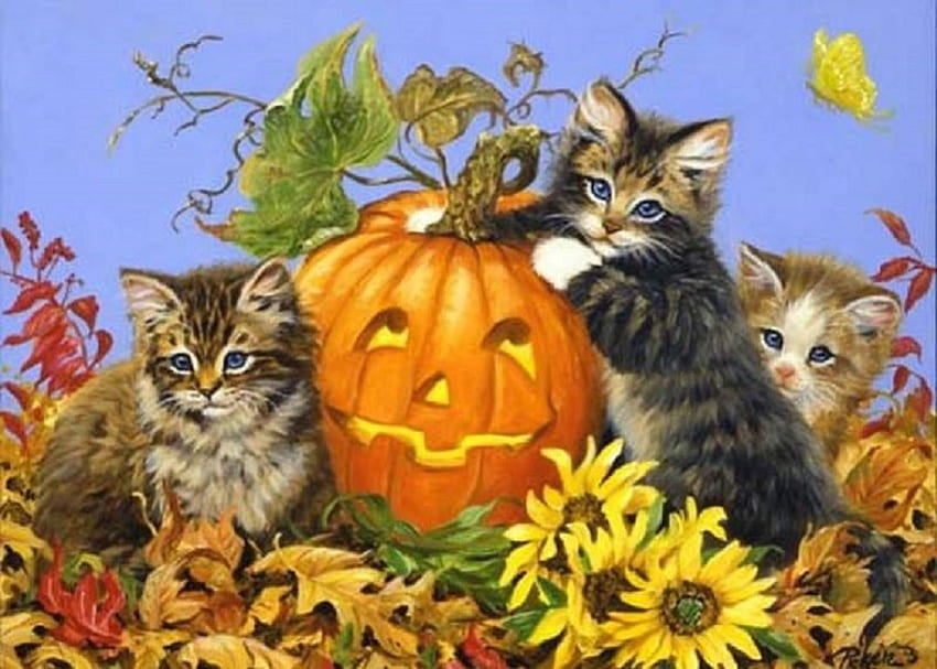 ハロウィンの子猫、カボチャ、絵画、動物、猫、ハロウィン、子猫 高画質の壁紙