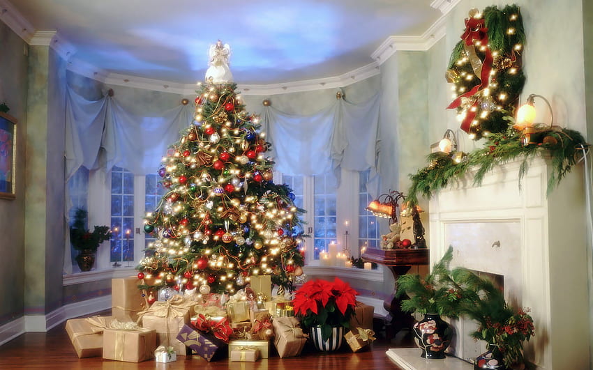休日、正月、モミの木、クリスマス、クリスマス、ポストカード 高画質の壁紙