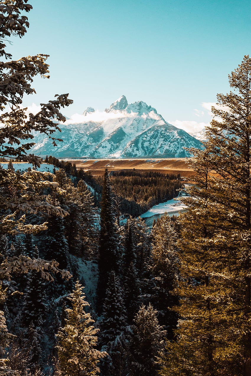 Parque Nacional Glacier, Montana: hermosos glaciares y senderos de travesía. iPad, grafía de paisaje, mejor iPhone fondo de pantalla del teléfono