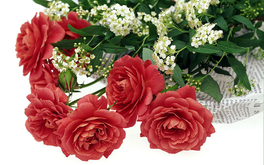 Roses for you!!!!!!, กุหลาบ, หุ่นนิ่ง, สวย, ดอกไม้, ความรัก, สีแดง, ธรรมชาติ วอลล์เปเปอร์ HD
