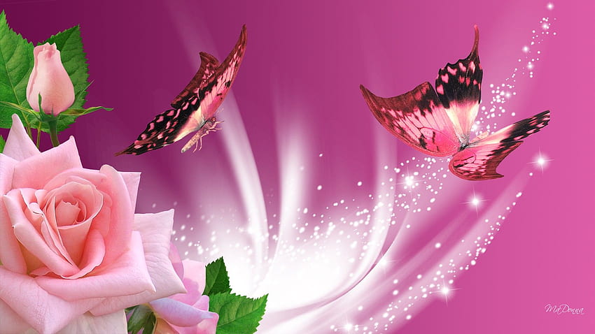 Pink Butterflies [] for your , Mobile & Tablet. Explore Butterfly Background . Purple Butterfly , Spring Butterfly HD wallpaper