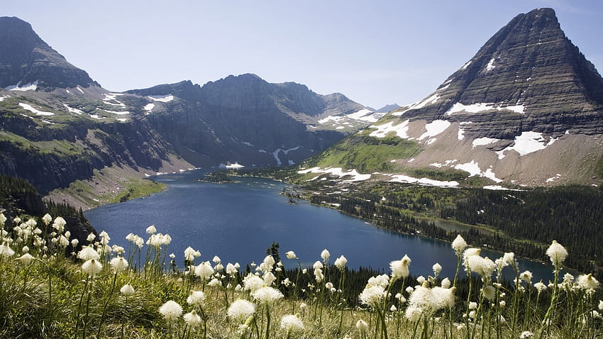 Mountains and lake, British Columbia, Canada, Canada, Lake, White flowers, Mountains, British Columbia HD wallpaper