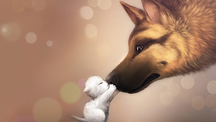 Dogs, Animals, Cats, Love, Friendship HD wallpaper