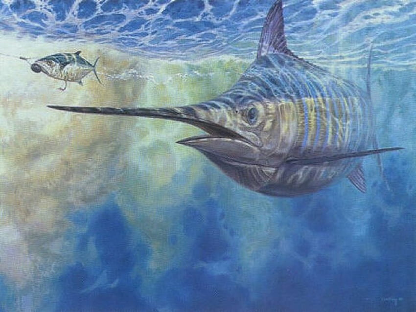 saltwater fishing wallpaper