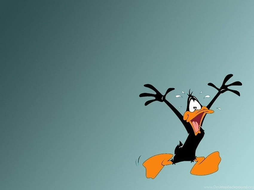Zabawny Szczęśliwy Kaczor Daffy Kreskówka Anima Tło Tapeta HD