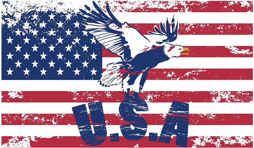 Winning Us Flag American . HD wallpaper