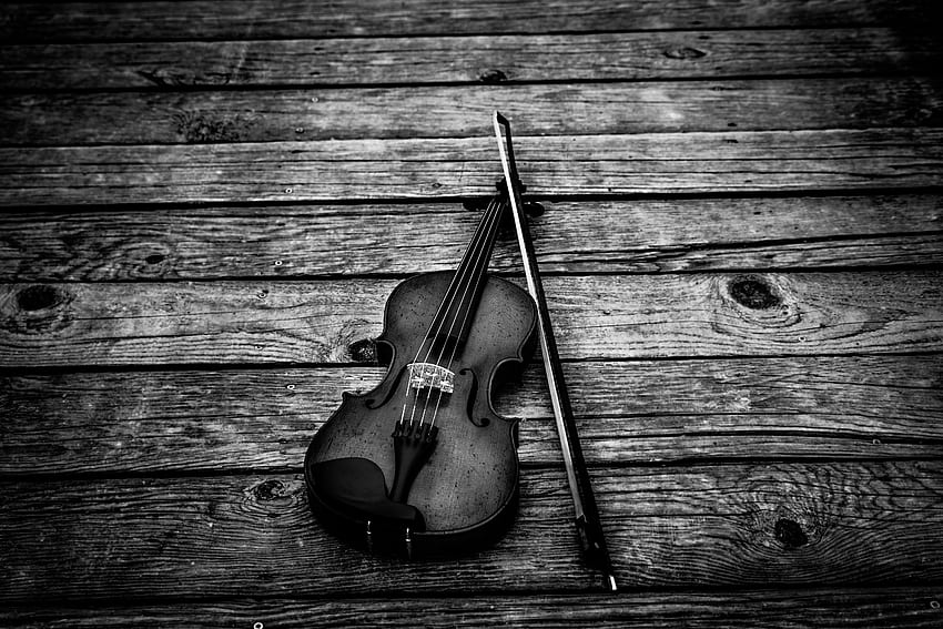 Music, Musical Instrument, Bw, Chb, Bow, Violin HD wallpaper